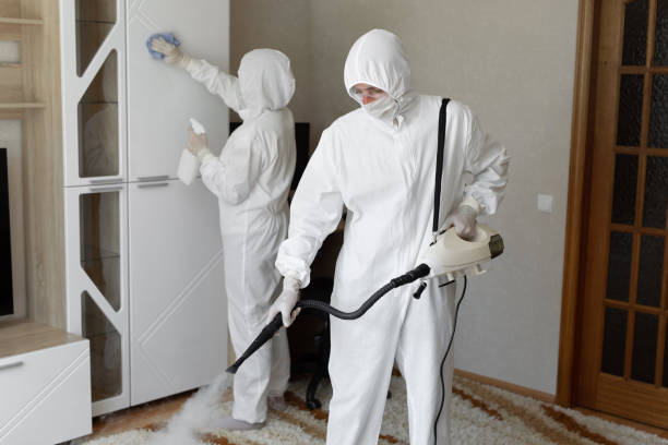 Best Office Mold Removal Services  in Friendship Heights Village, MD